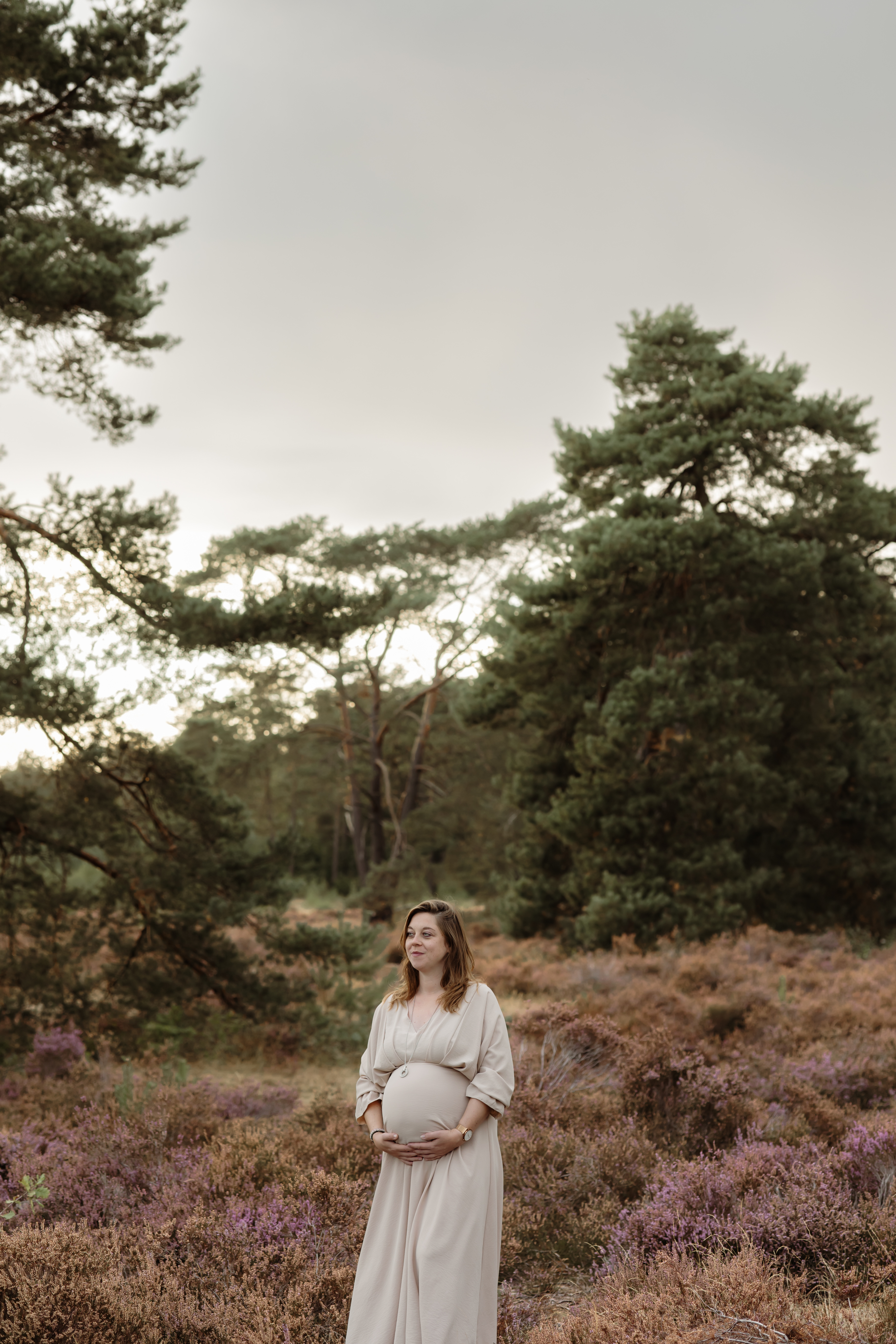 Wandeling in het bos, zacht licht